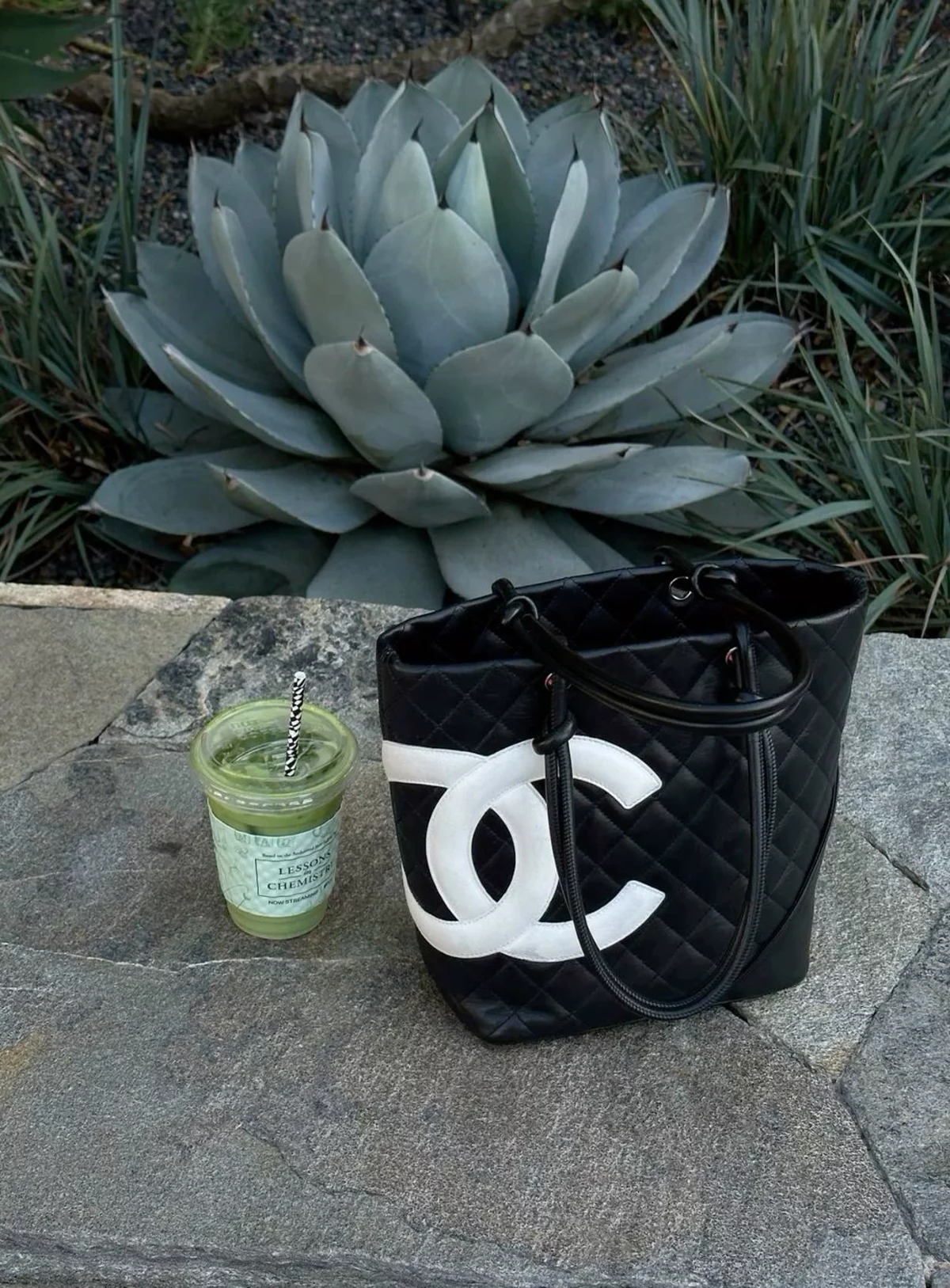 Chanel Tote Bag