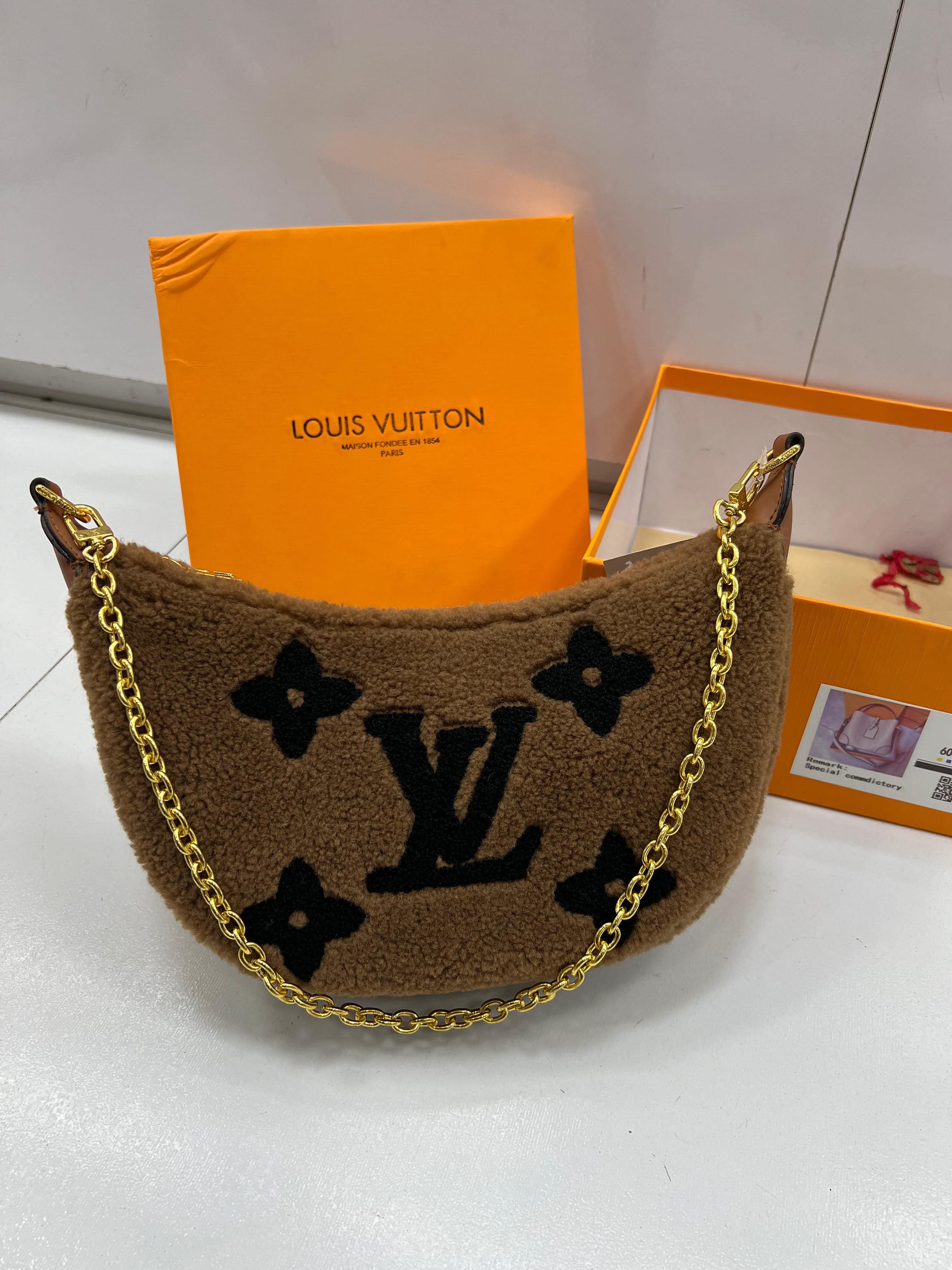 Louis Vuitton Cozy Moon Bag