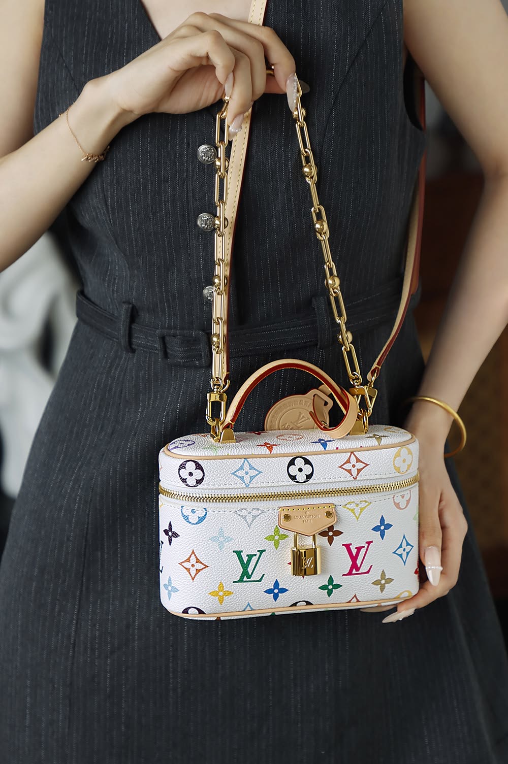 Louis Vuitton Vanity Multicolor