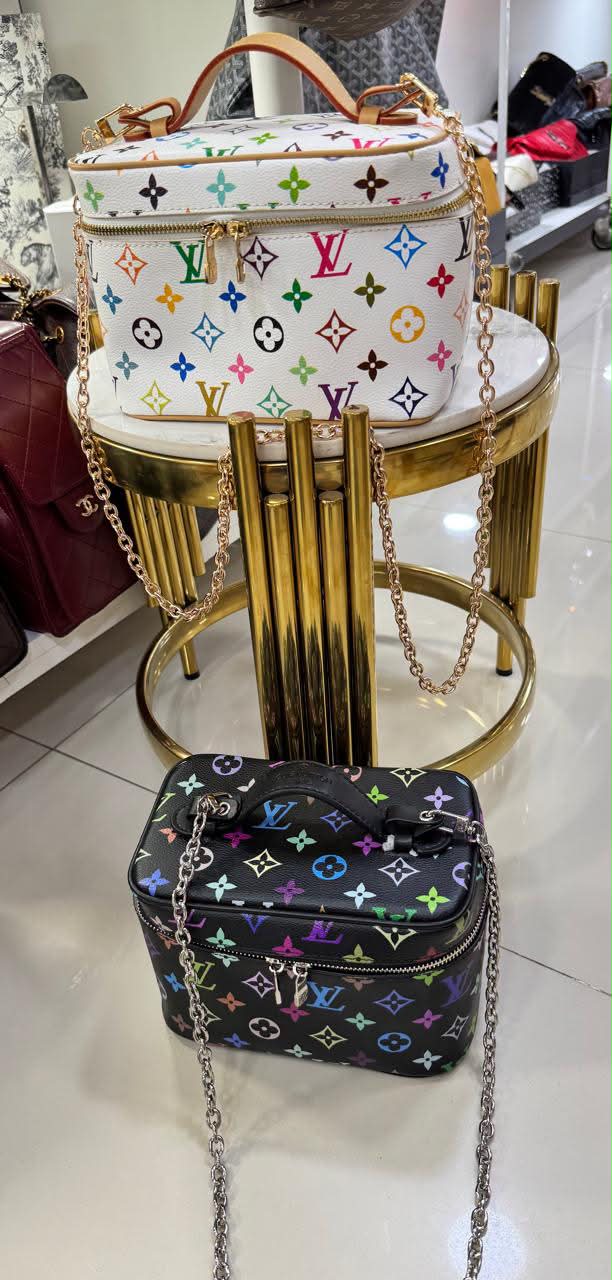 Louis Vuitton Vanity Multicolor Bag