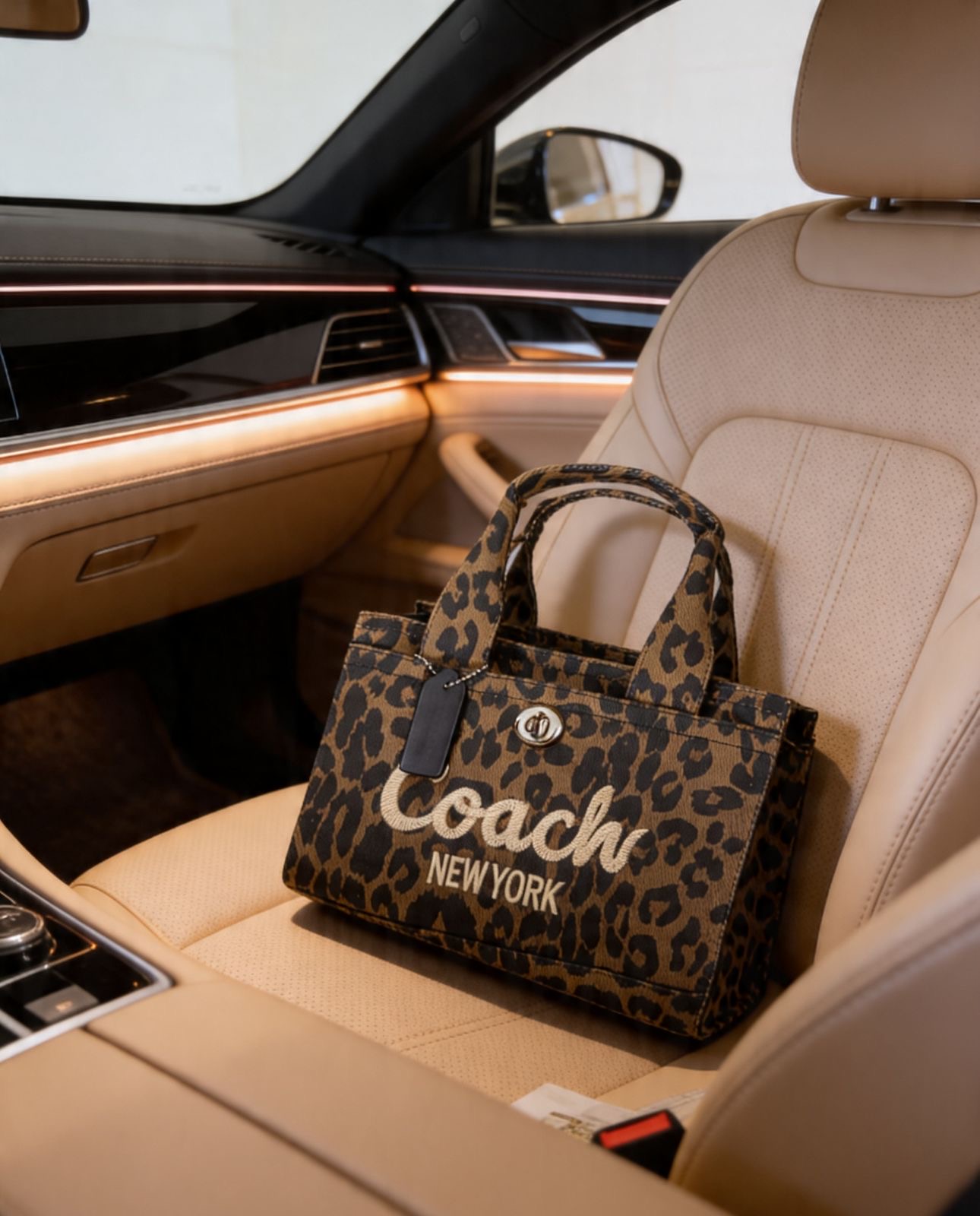 Coach Savannah Mini Tote