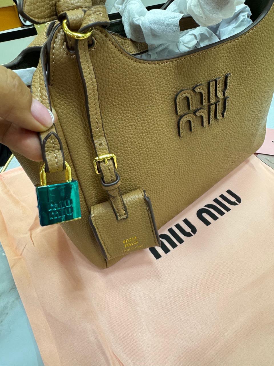 Miu Miu Arcadia Hobo Bag