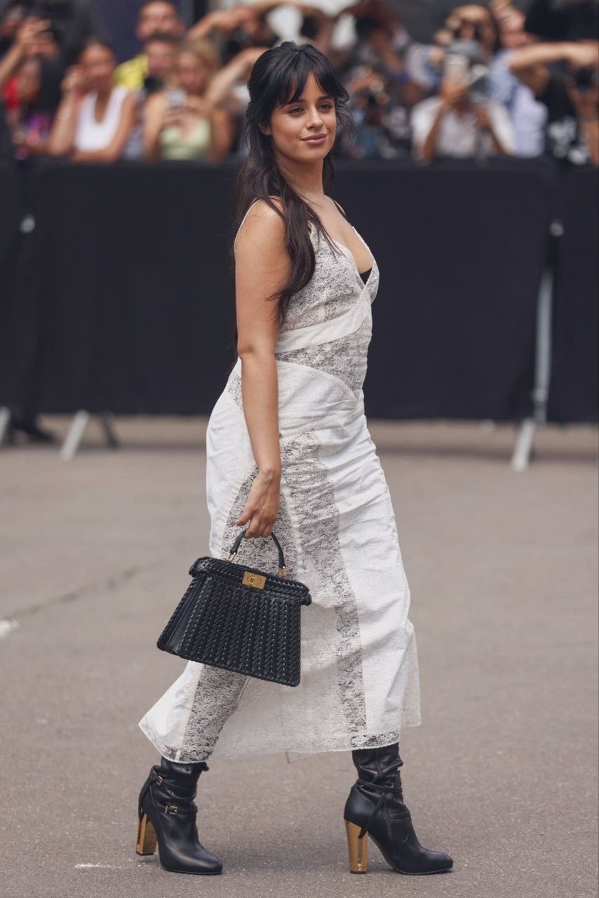 Fendi Peekaboo Woven Elegance