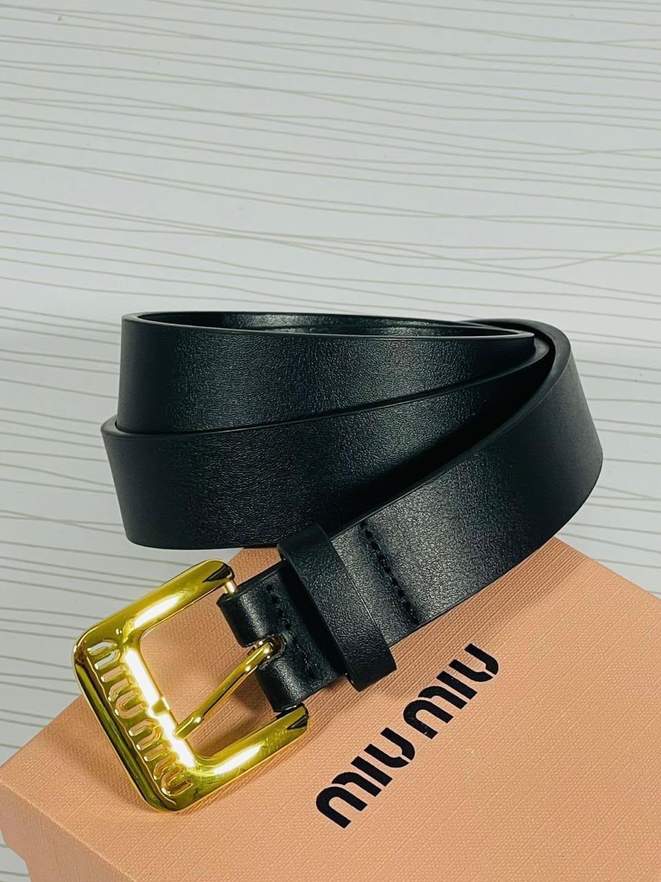 Miu Miu Éclat Signature Belt